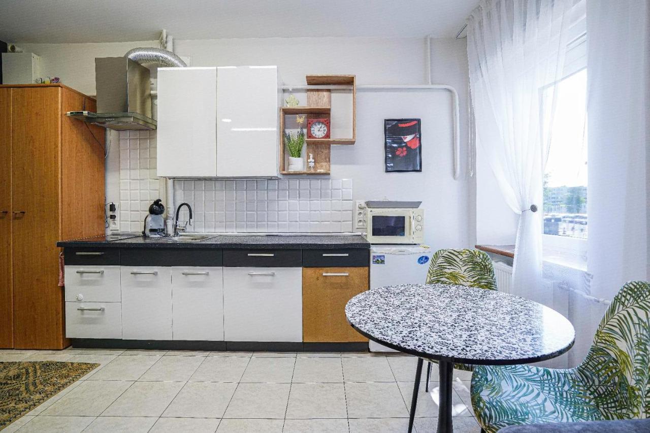 Jaukus Ir Kokybiskas Butas Panevezio Centre Διαμέρισμα Panevėžys Εξωτερικό φωτογραφία